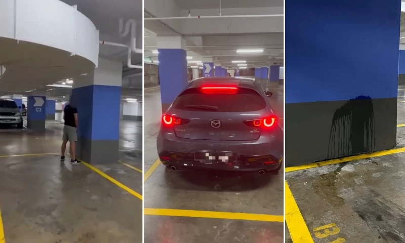 Man urinating in carpark