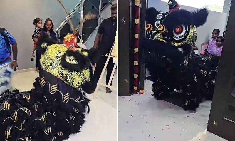 Malaysian-Indian Lion Dance Delights Attendees at Housewarming Celebration, Infusing the Event with Unbridled Happiness