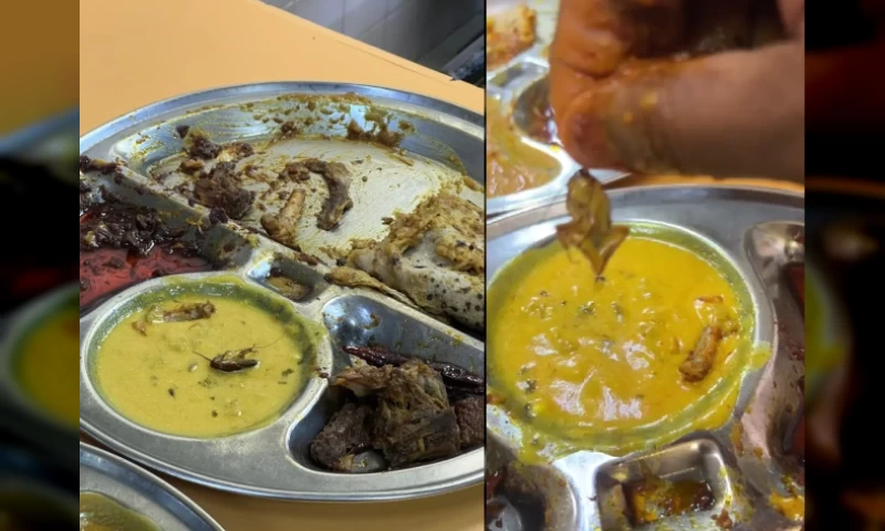 Shocking Discovery: Malaysian Dismayed by Dead Cockroach in Dhal Curry at Kuala Lumpur Restaurant, Questions New Recipe