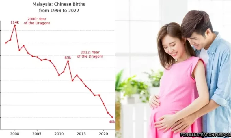 Malaysian Chinese Birth Rates Experience Significant Increases During Dragon Years