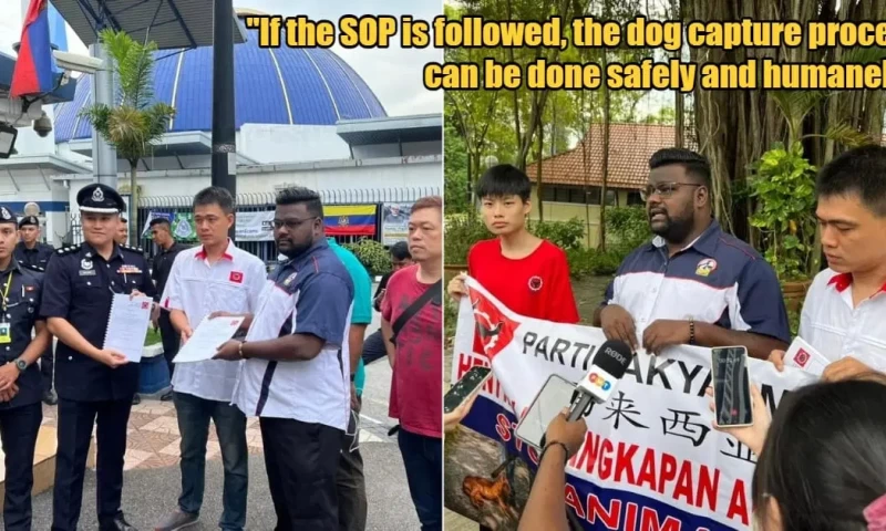 NGO Urges PDRM to Enforce Action Against Local Councils Ignoring SOPs in Dog Catching Operations