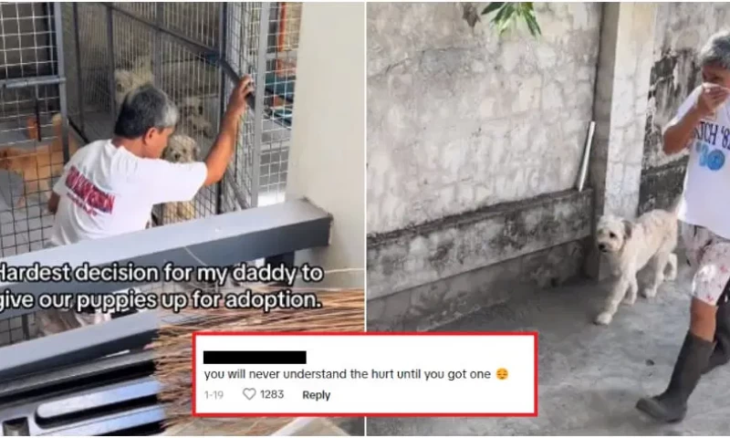 Filipino Animal Shelter Owner Offers Tearful Apology to Mother Dog for Rehoming Her Puppies