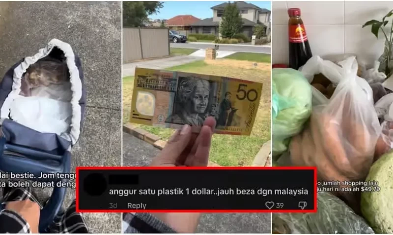 Malaysian Resident Reveals the Abundance of Groceries Afforded by AUD50