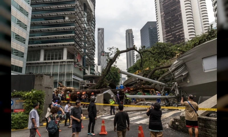 One Fatality and Another Injured as Tree Collapses onto Road and Monorail Track along KL's Jalan Sultan Ismail