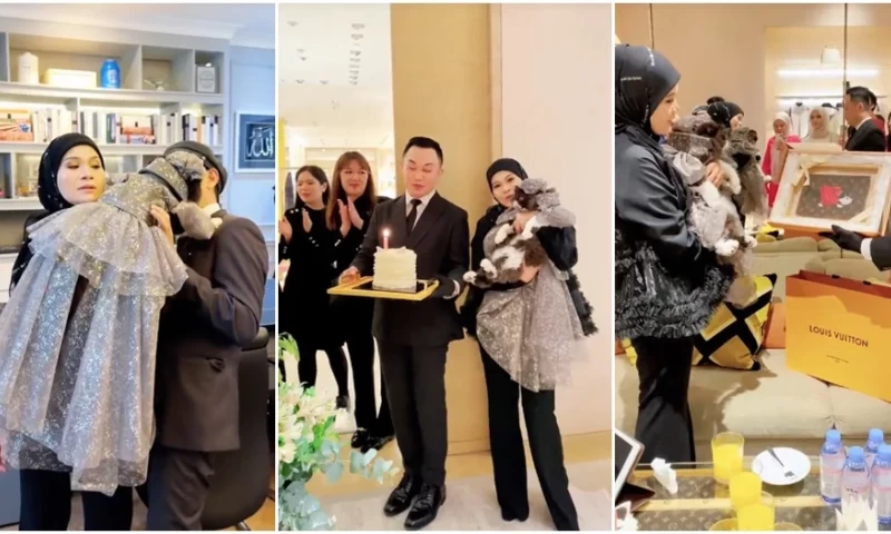 Malaysian Entrepreneur Spends Lavishly on Customized Bag and Dress Adorned With Swarovski Crystals for Cat's Birthday