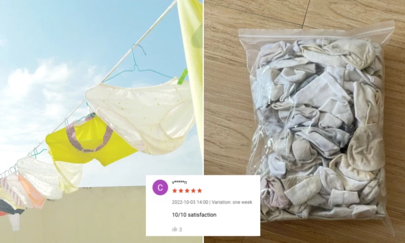 18-Year-Old Malaysian Girl Sells Unwashed Underwear and Socks Online for Up to RM120