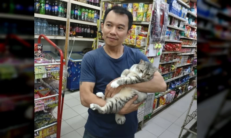 Malaysians Flock to See the Cat from Viral Penang Fight