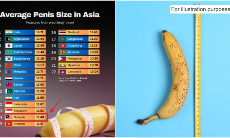 Study Reveals Malaysia's Unexpected Ranking in Average Penis Size Among Asian Countries