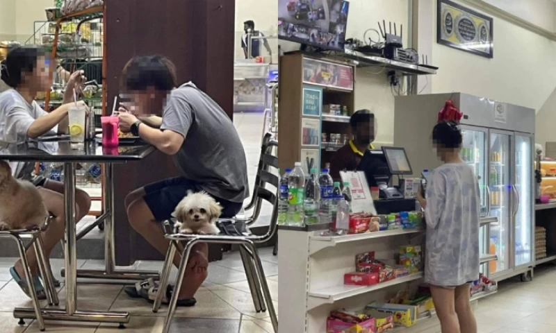 MBJB Temporarily Shuts Down Mamak Restaurant After Couple Brings Dogs Inside